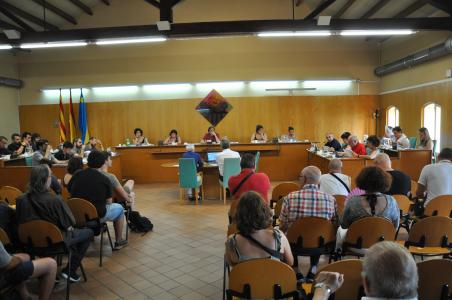 El Ple aprova l'inici de la dissolució dels patronats -Imatge 1-