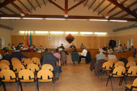 Acords del Ple Ordinari del 27 de gener de 2011  -Imatge 1-