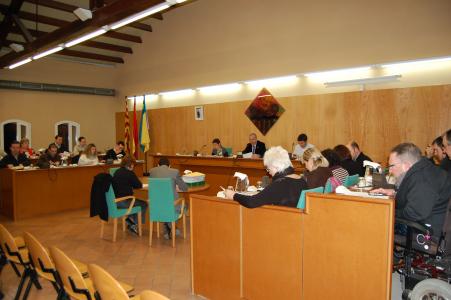 Acords del Ple Municipal del 28 de gener de 2010 -Imatge 1-