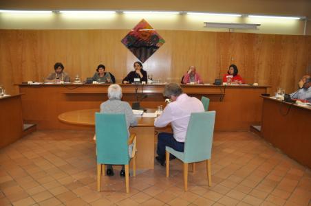 Acords del Ple Municipal del 28 de març de 2019 -Imatge 1-