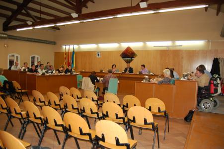 Avanç del Ple Extraordinari del 6 de juny de 2011 -Imatge 1-