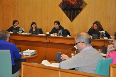 El Ple aprova les bases per adjudicar 20 horts urbans i espera licitar-ne més en el futur -Imatge 1-