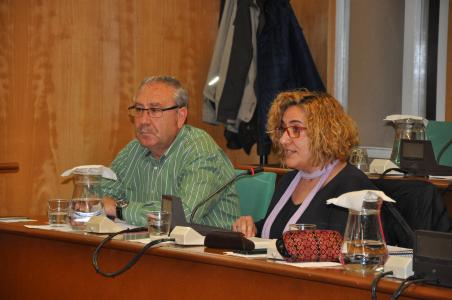 El PSC reitera les crítiques a Pilar Castillejo per la seva doble condició de regidora i diputada -Imatge 1-