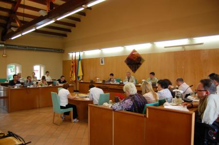 Acords del Ple Municipal del 28 de maig de 2009 -Imatge 1-