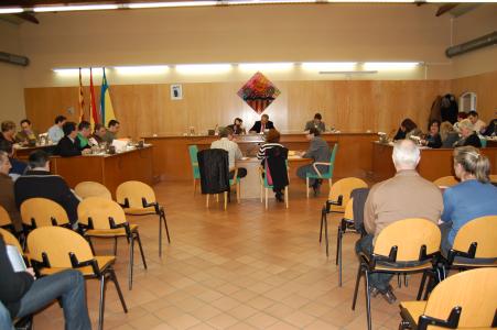 Acords del Ple Municipal del 29 de gener -Imatge 1-