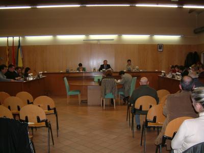 Acords del Ple del 29 de novembre de 2007 -Imatge 1-