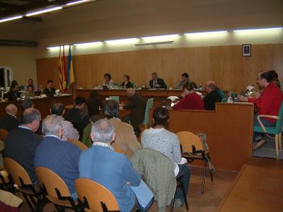 Acords del Ple ordinari del 30 de novembre -Imatge 1-