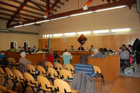 Acords del Ple Municipal de 30 de desembre de 2010 -Imatge 1-