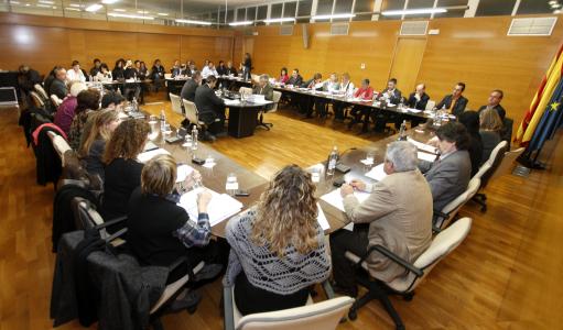El Ple del Consell Comarcal aprova la revisió de les ordenances fiscals per l'any 2013  -Imatge 1-