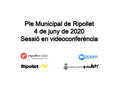 Avanç del Ple extraordinari del 4-6-2020 sobre la prórroga dels serveis d'atenció domiciliària -Imatge 1-