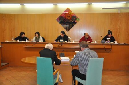 Unanimitat a favor dels cotxes elèctrics, contra el bullying i per reduir el preu del transport -Imatge 1-