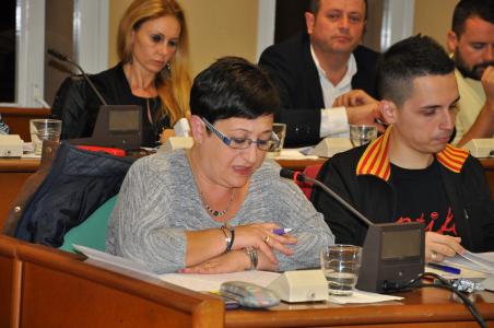 ERC-JpR-AM dóna els seus motius per anar a treballar el dia de la Constitució espanyola -Imatge 1-