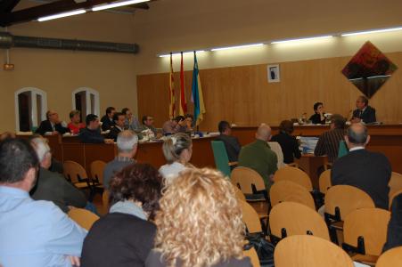 Acords del Ple Municipal del 28 d'octubre de 2010 -Imatge 1-