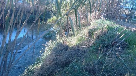 Ciutadans demana la recuperació del llit del riu Ripoll -Imatge 1-