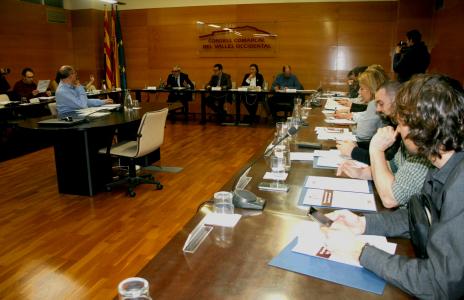 El Consell d'Alcaldes i Alcaldesses aprova diversos acords en relació a temes d'emergència social -Imatge 1-
