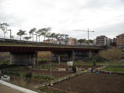 El Partit Popular proposa millorar la il·luminació de la passarel·la que creua la C-58 -Imatge 1-