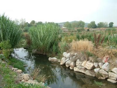 La fauna i la flora de Ripollet a estudi -Imatge 1-