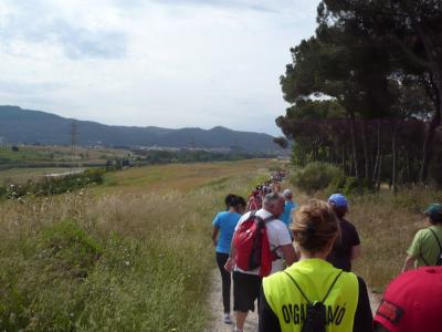 La 3a Caminada sense fum aplega uns 400 participants -Imatge 1-