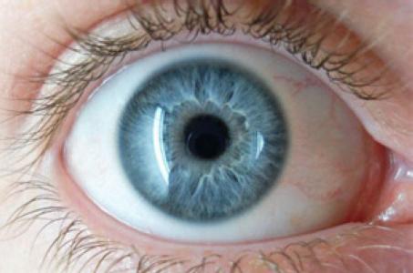 El Cicle Més Salut dedica una setmana al glaucoma -Imatge 1-