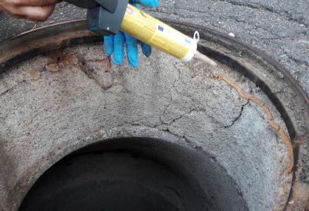 Actuacions de control de plagues a Pinetons, Sant Andreu i Pont Vell -Imatge 1-