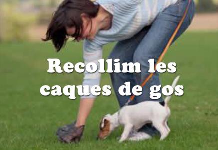 Continúen les accions de la campanya 'A Ripollet, joc net' -Imatge 1-