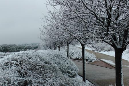 Darrera hora sobre la situació de fred i neu i vídeo de Ripollet nevat -Imatge 1-