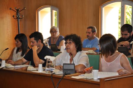 S'inicia el període d'al·legacions pel Consell de Serveis Socials -Imatge 1-