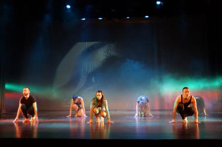<i>La Luz de la Sombra</i> torna a l'Auditori per col·laborar amb Apadir -Imatge 1-