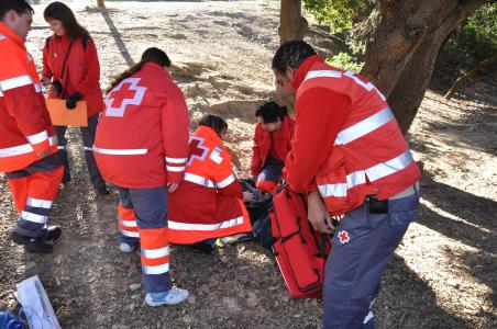 Creu Roja presenta una oferta de cursos per a aturats -Imatge 1-