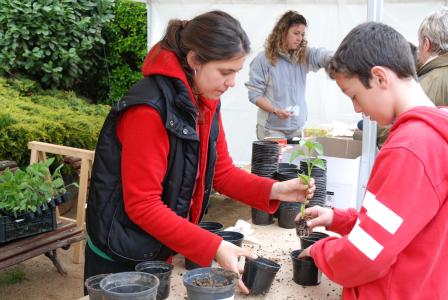 El parc de la Xemeneia acull la 12a Fira dels Horts -Imatge 1-