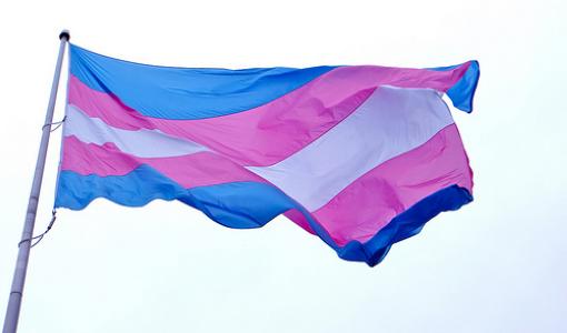 Ripollet recorda la commemoració del Dia Internacional de la Memòria Transsexual -Imatge 1-