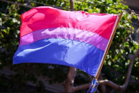 L'Ajuntament commemora el Dia Internacional de la Visibilitat Bisexual -Imatge 1-