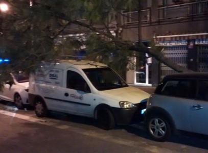 El vent provoca alguns danys materials a Ripollet -Imatge 1-