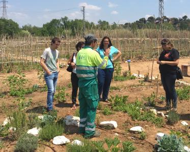 Les tinentes d'alcalde de Salut Pública i Serveis Socials visiten l'horta social del Molí d'en Xec -Imatge 1-