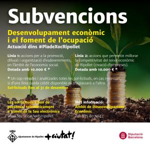 Noves convocatries de subvencions i premis per enfortir l'economia local dins el Pla de Xoc -Imatge 1-