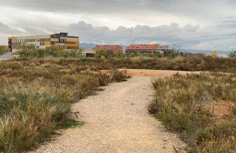 L'Ajuntament encarrega un nou estudi sobre la demanda de places de residncia desprs de la COVID-19 -Imatge 1-