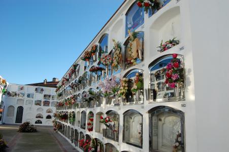 Serveis especials pel Dia de Tots Sants -Imatge 1-