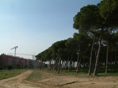 Es promou un protocol per a la gestió de les zones verdes municipals -Imatge 1-