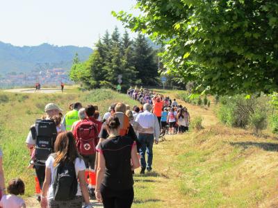 Bona participació a la Caminada Popular Sense Fum de Ripollet -Imatge 1-