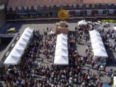 Èxit de participació al Ripostock -Imatge 1-