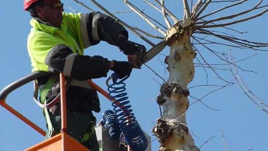 Lleugera baixada de l'atur a Ripollet durant aquest abril -Imatge 1-