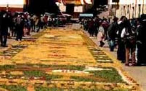 Els carrers del nucli antic es cobriran de catifes florals per celebrar el Corpus -Imatge 1-