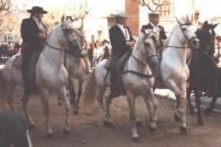 Diumenge, Festa de Sant Antoni Abat -Imatge 1-