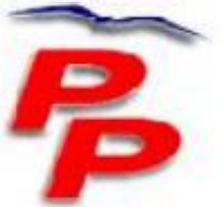 Pere Calviño, alcaldable pel PP -Imatge 1-
