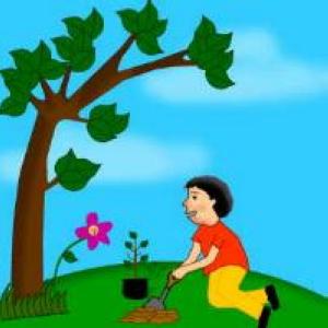 Els escolars de Ripollet celebren el Dia de l'Arbre -Imatge 1-