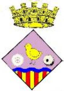 Avanç del Ple del 29 de gener de 2004 -Imatge 1-