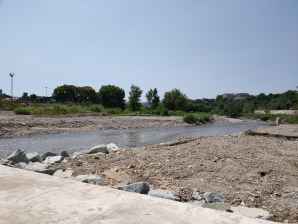 Aquest diumenge, activitat per descobrir els ecosistemes de Pinetons al Ripoll