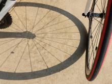 Bicicletada familiar