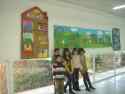 Exposició: <i>La casa d'en Tapiro</i>