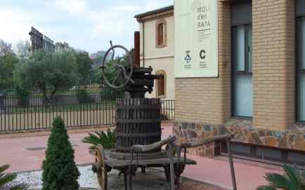 Imatge 681